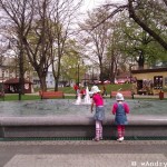 Fontanna w parku miejskim w Andrychowie